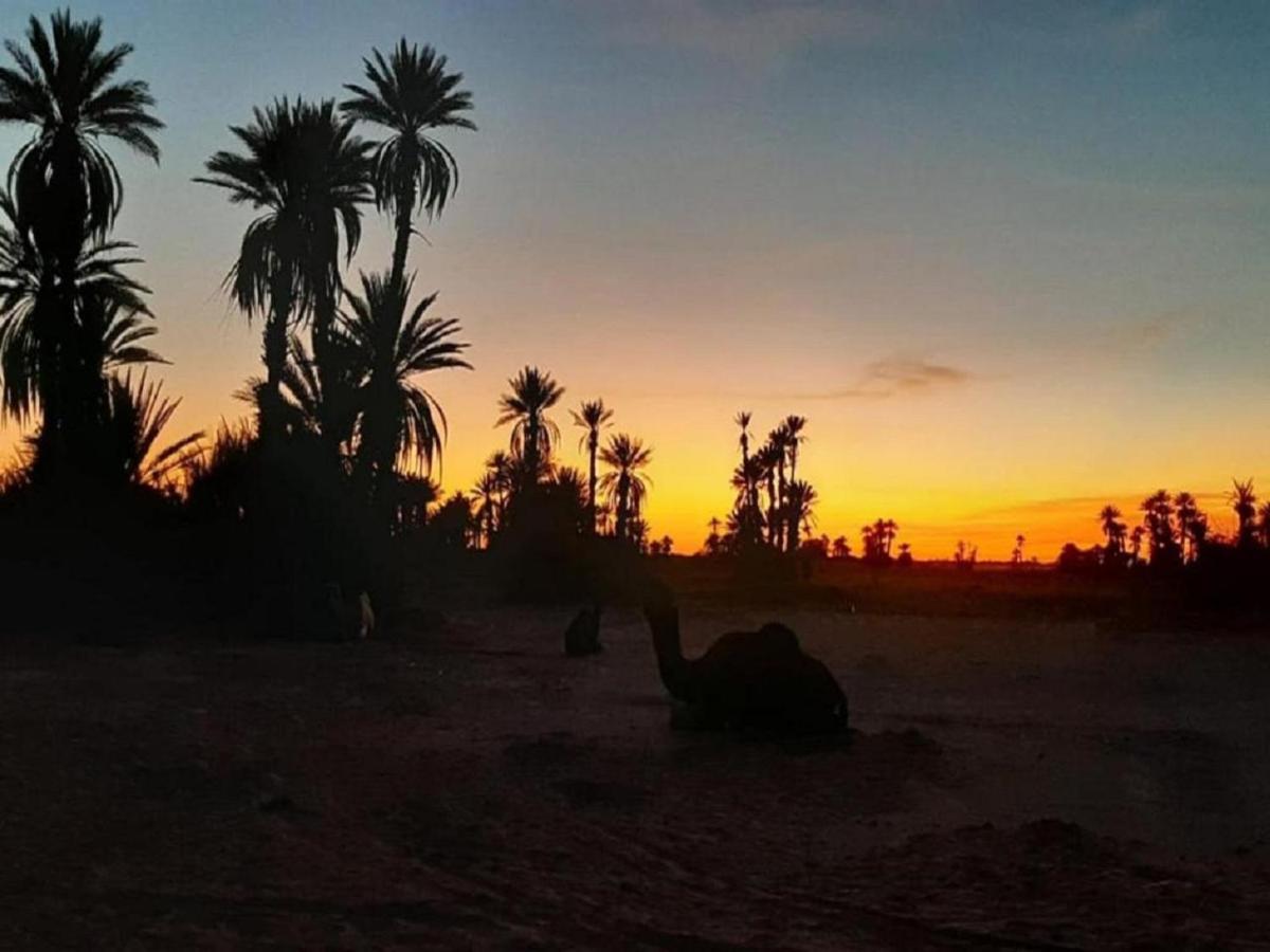 Desert Camp Tours Campingplatz M’hamid El Ghizlane